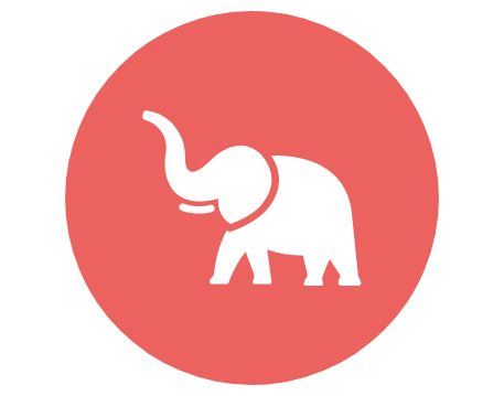 Wildlife / Animals
