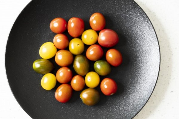 Red and yellow tomatoes in a plate