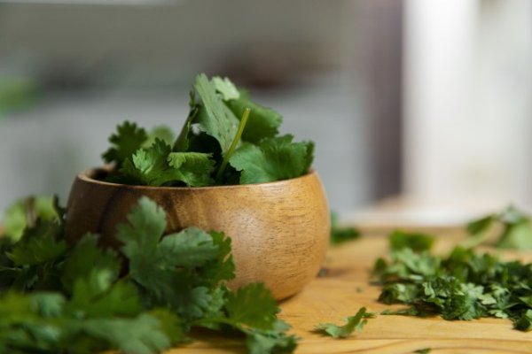 Coriander in a bowl