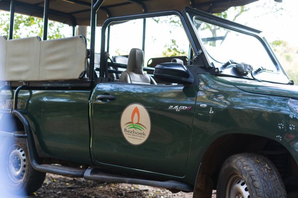 Game drive vehicle parked