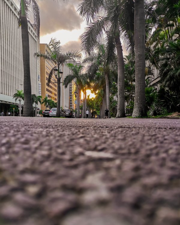 Golden hour in the city