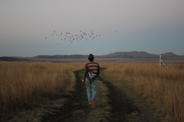 Black boy walking in the fields with birds flying