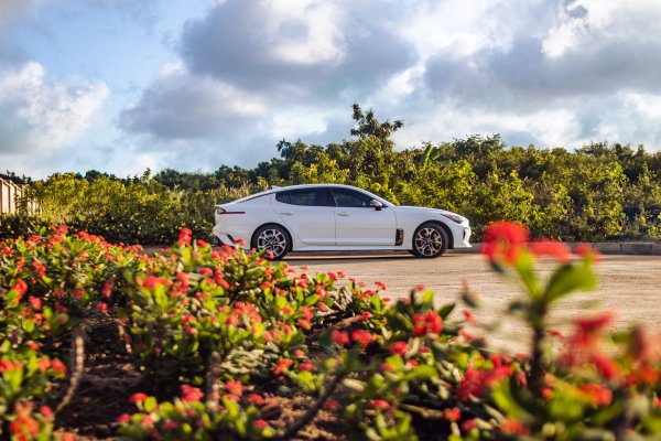 A KIA Stinger in a  Garden of a Cemetery