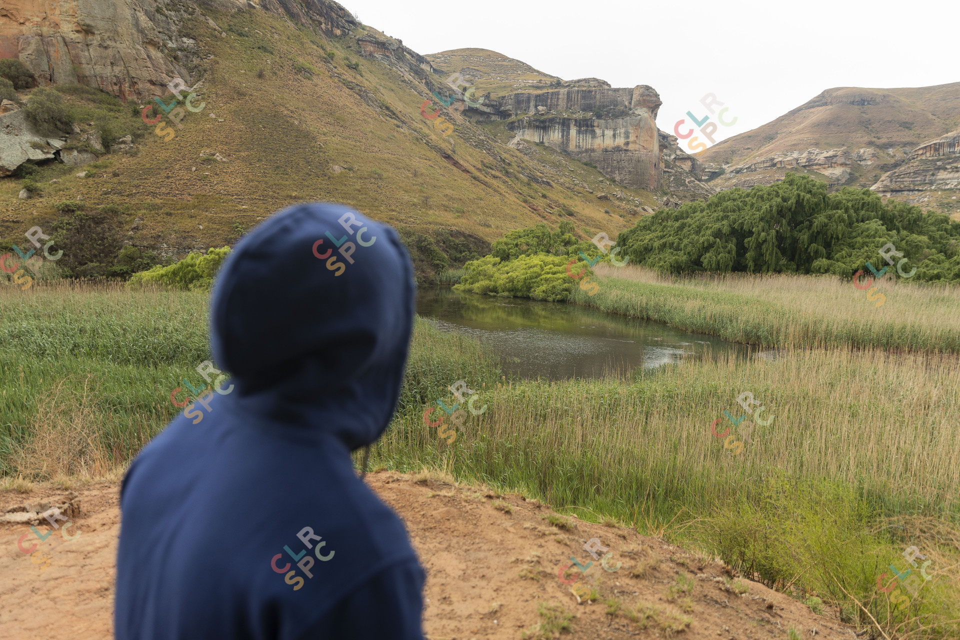 Black man sitting watching the mountains