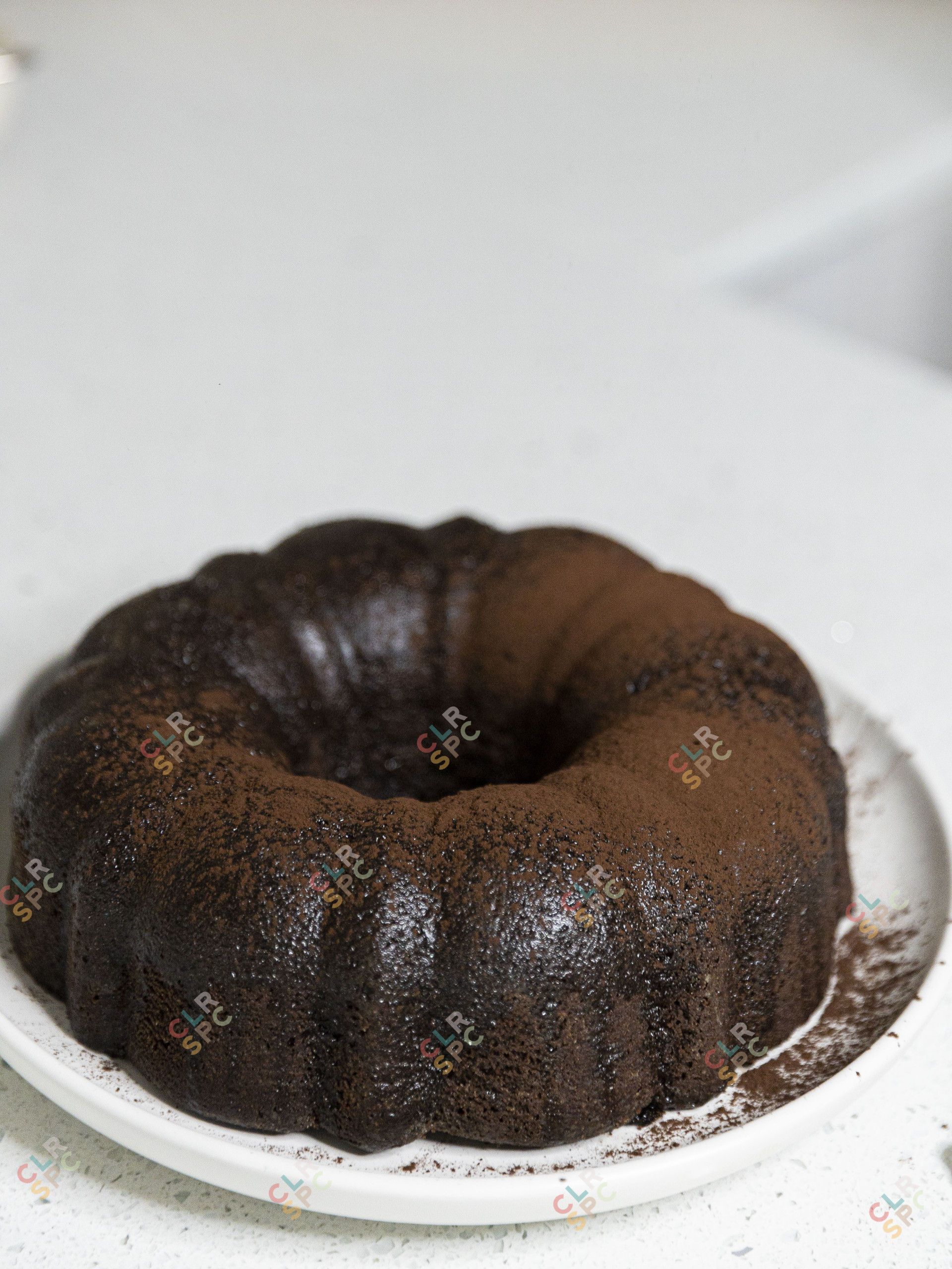 Home made chocolate cake and fruit