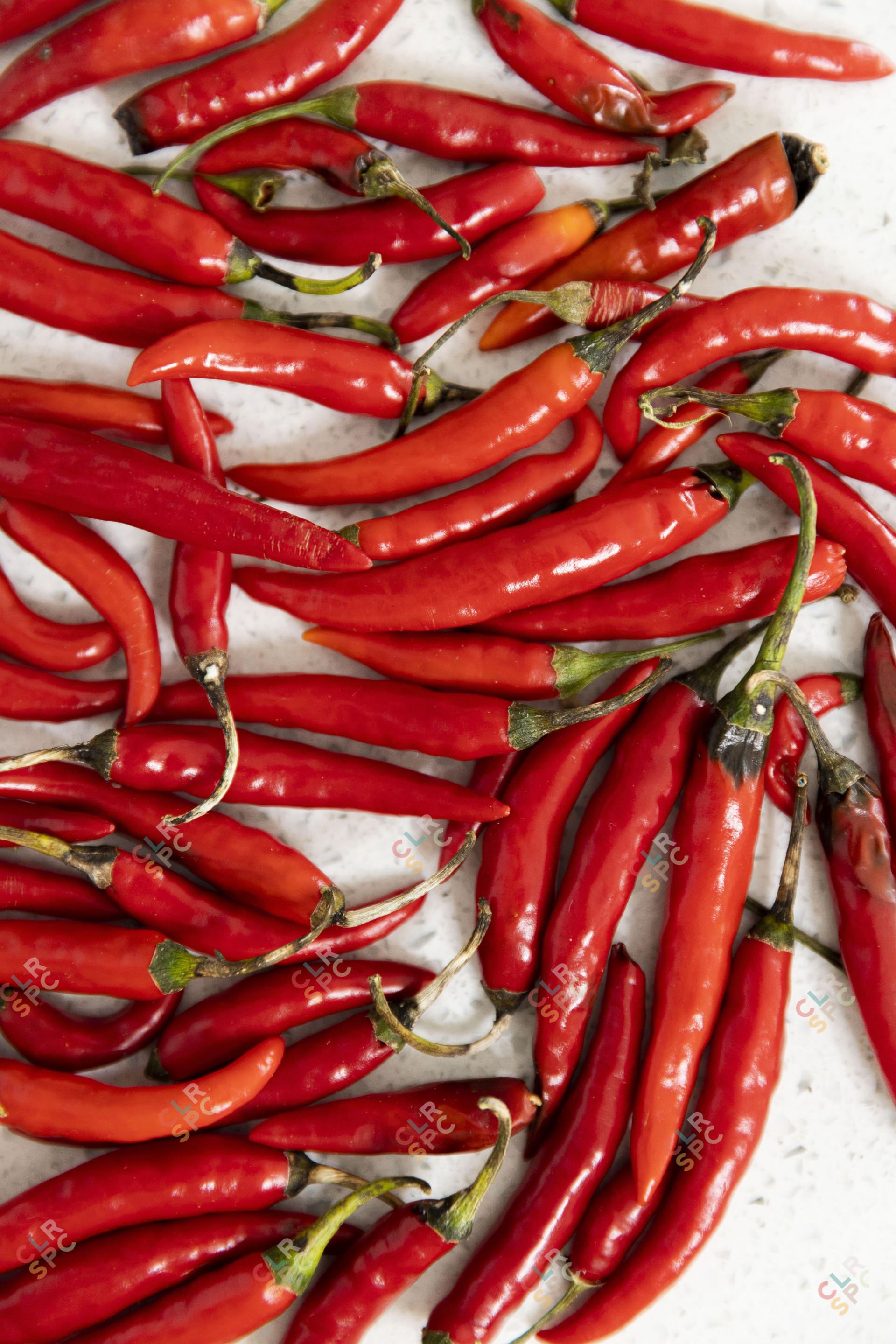 Group of red chilli