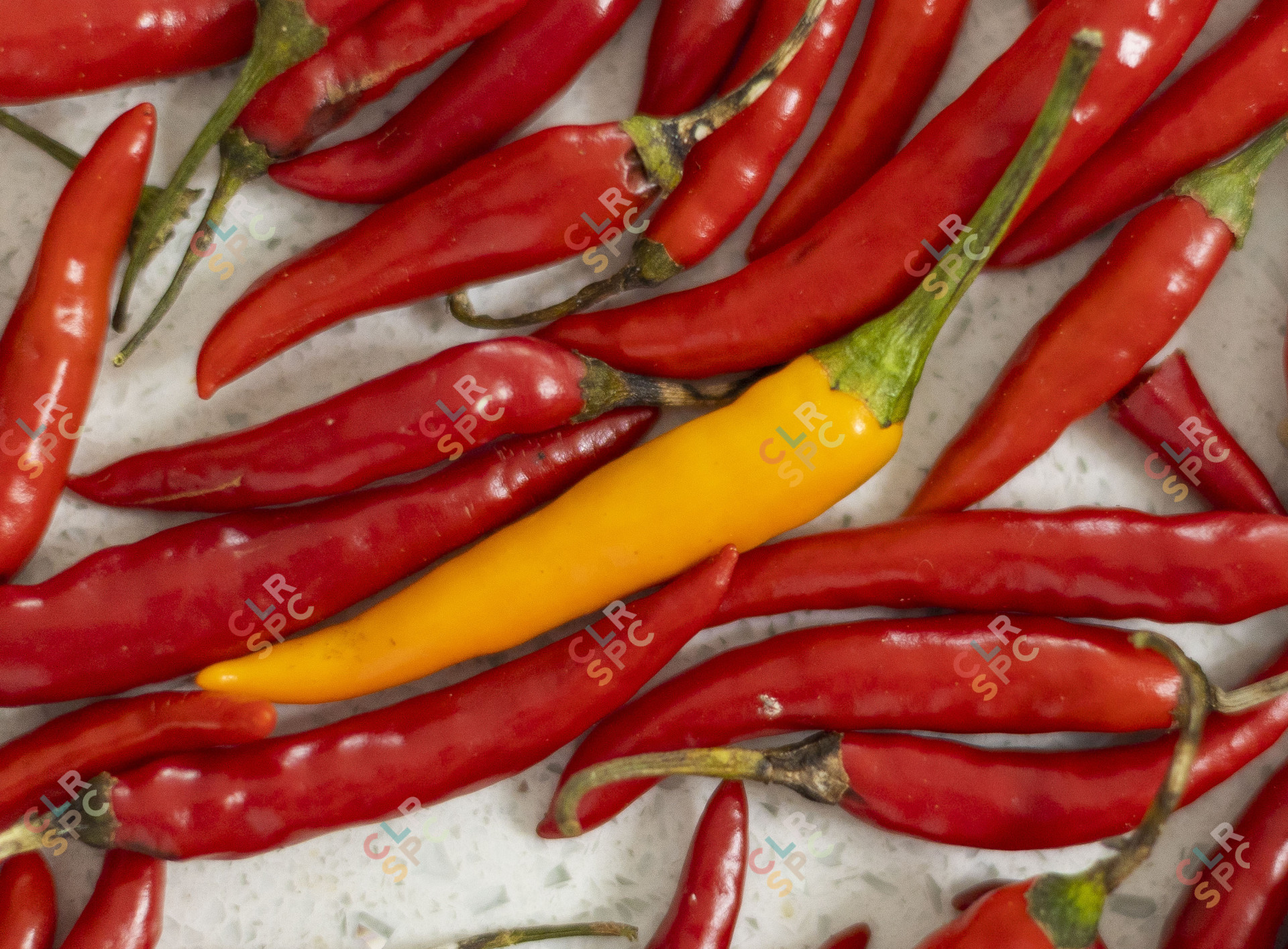 Group of yellow chilli in the middle of red chillis