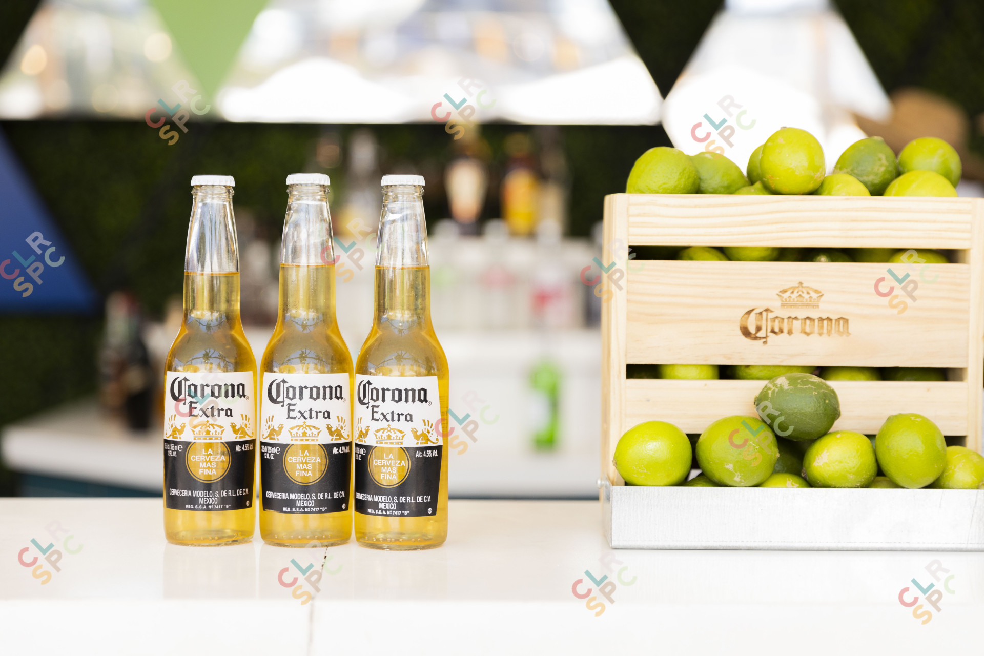 Three corona beers