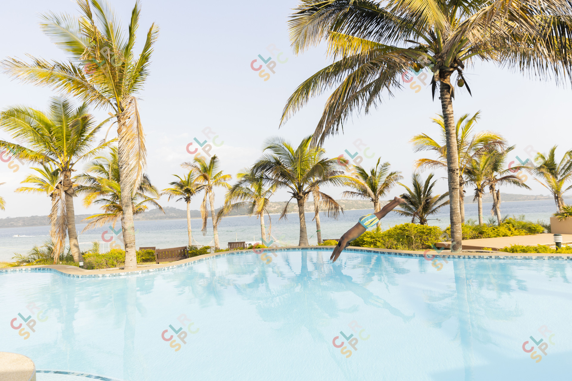 Black person diving into a swimming pool.