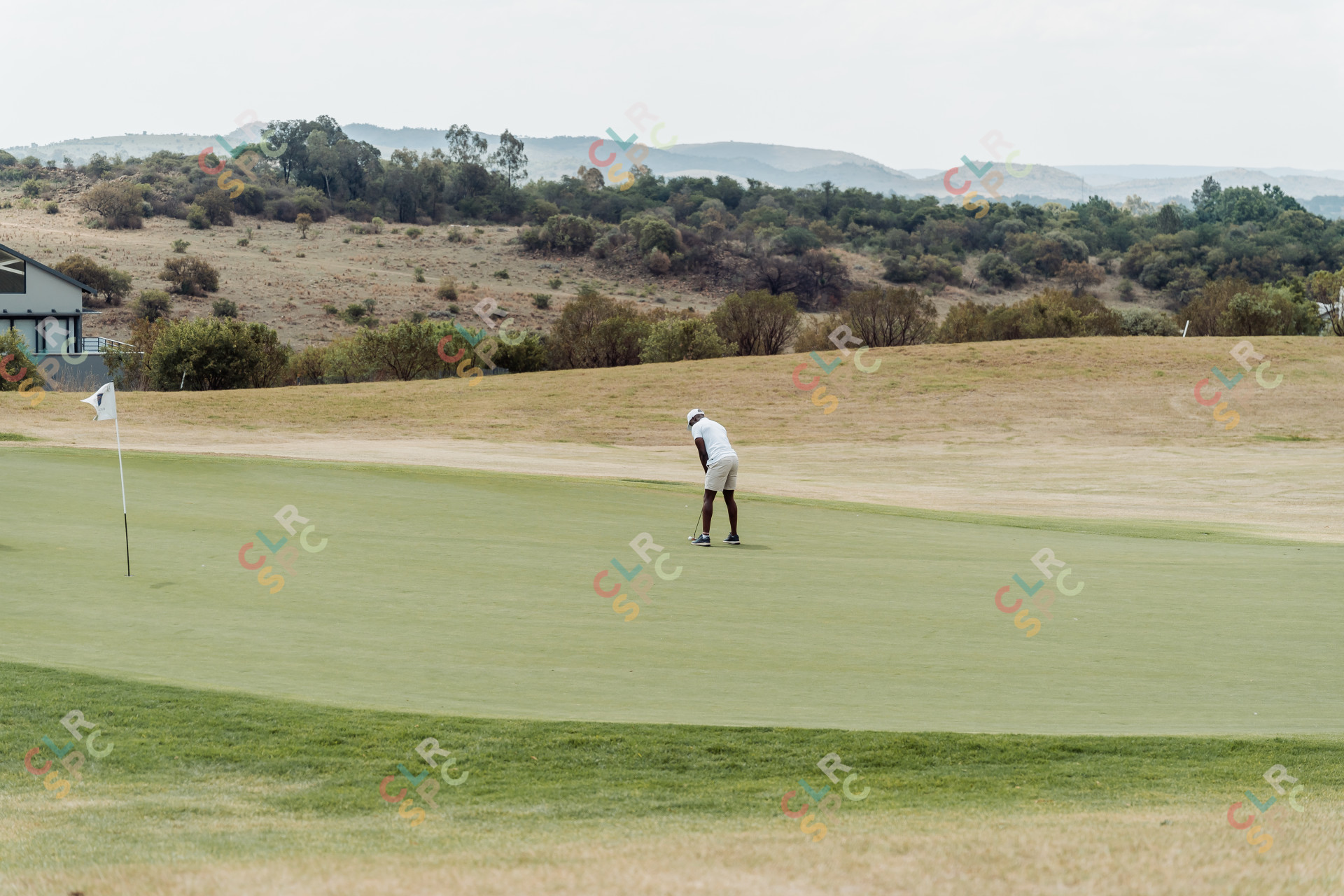 Black male golfer taking a putt on the green
