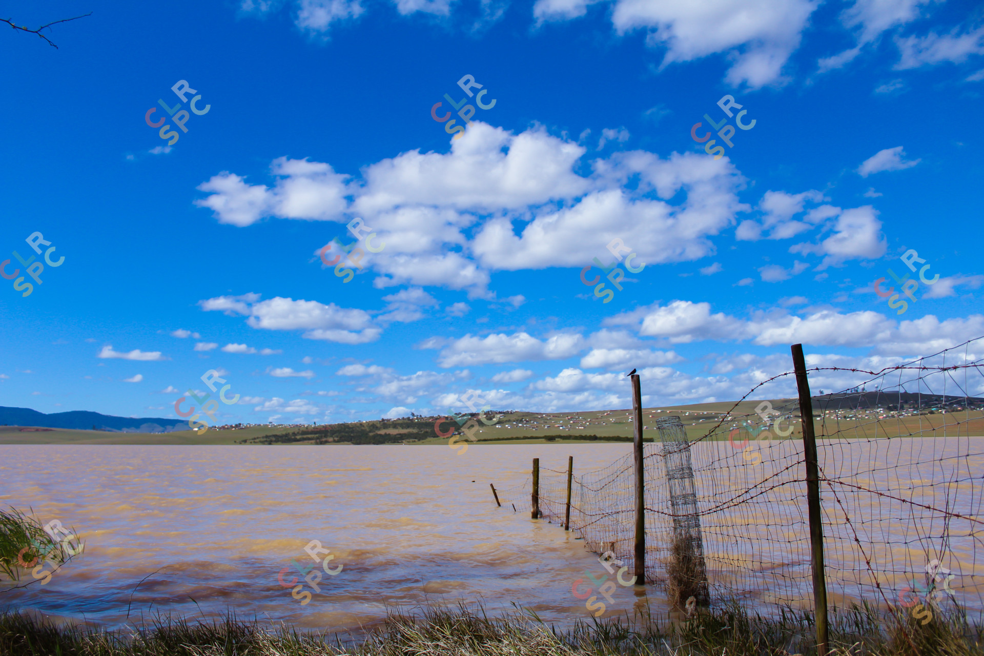 Blue Skies and Coffee