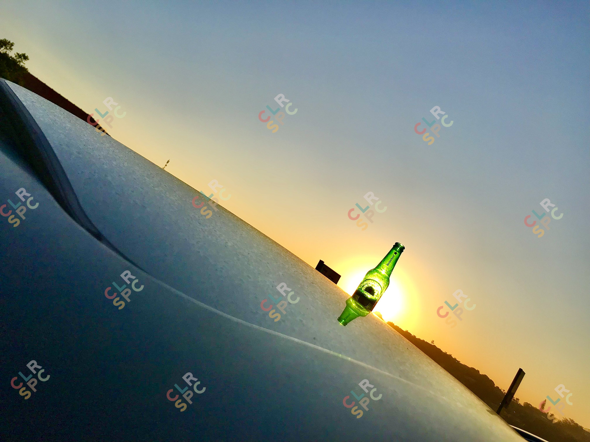 0F7C5FD1 F2C2 44A6 8E11 A1EB9B904819