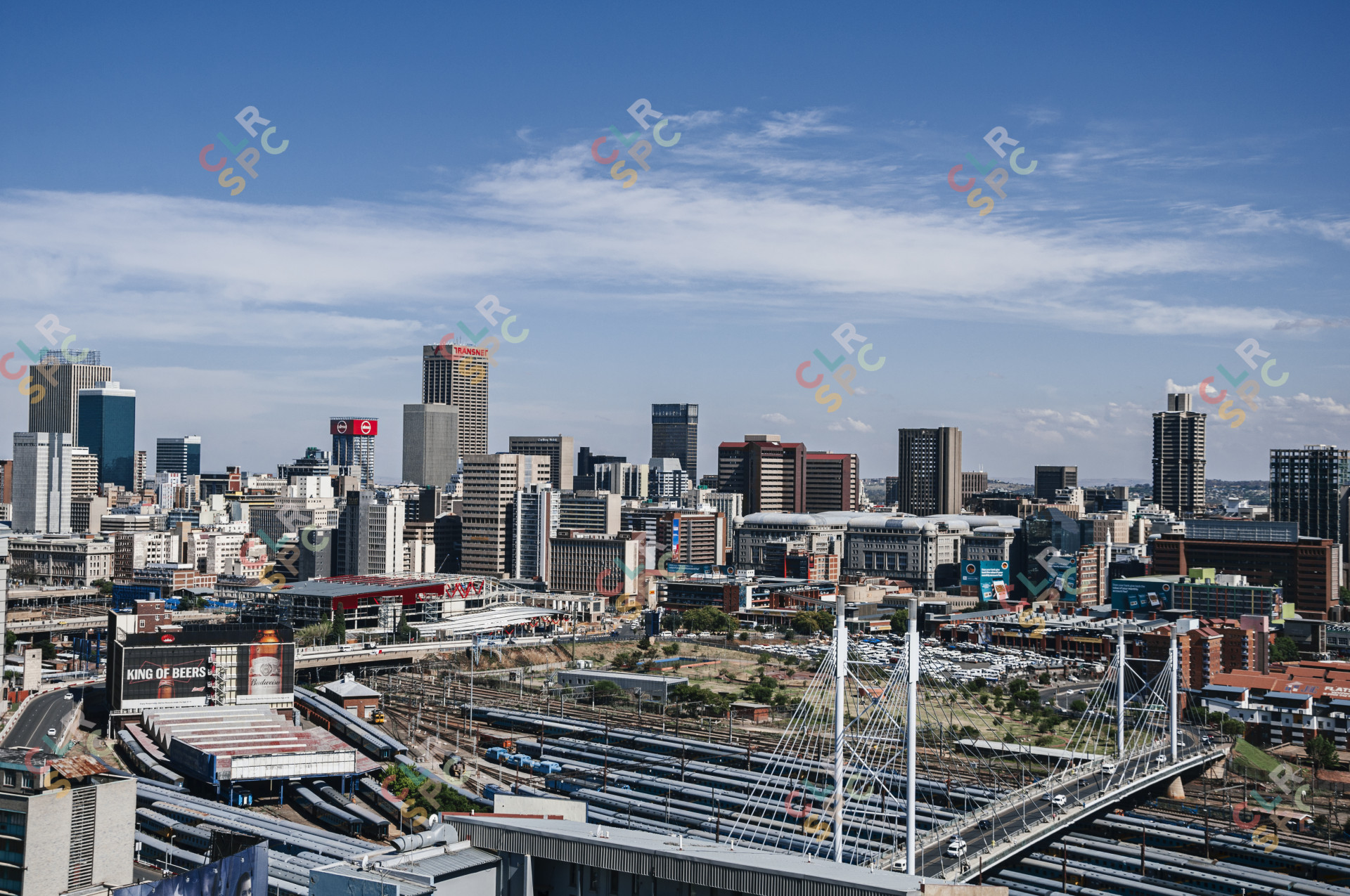 Jozi Landscape