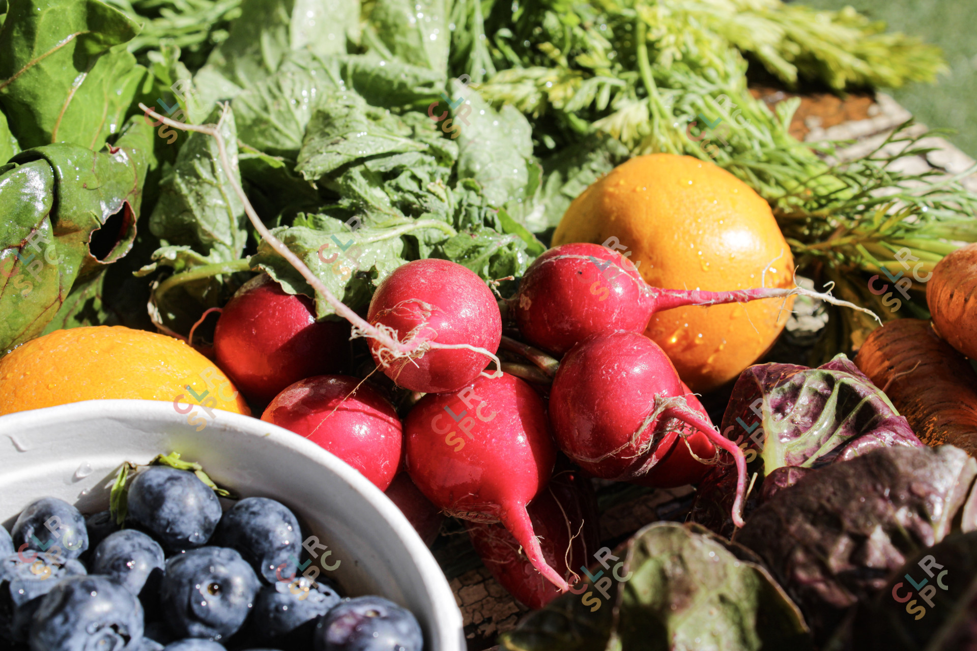 Organic Fruit and Vegetables