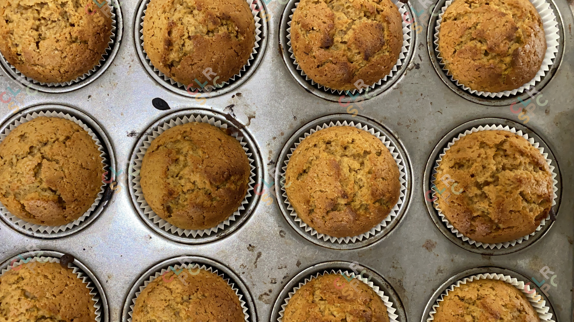 Cappuccino muffins