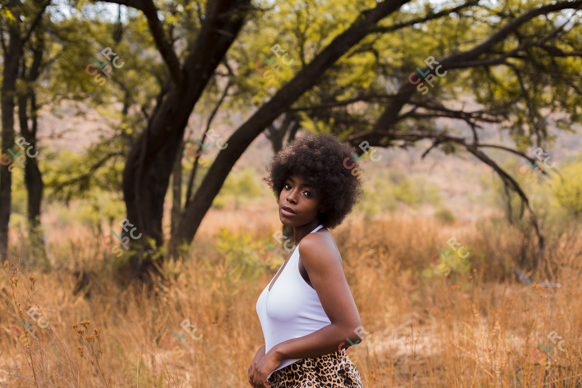 Black model with afro posing in a park