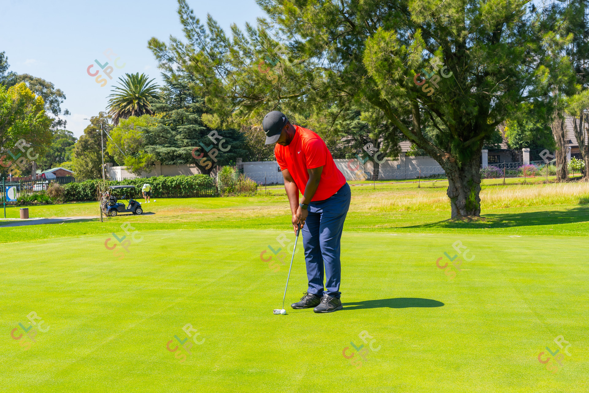 Black male golfer wearing a red golf shirt putting