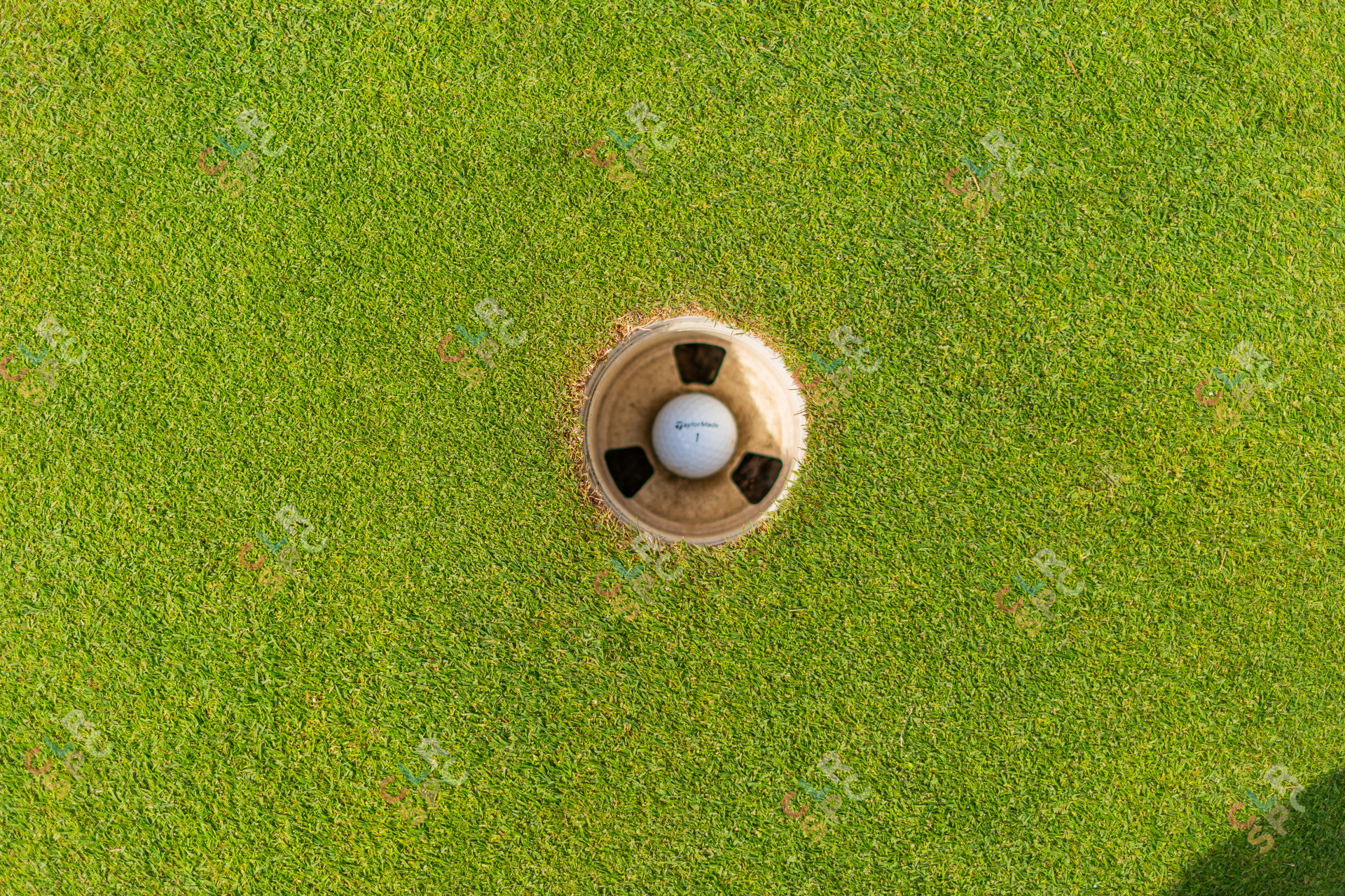 Golf inside a golf hole with green grass around it