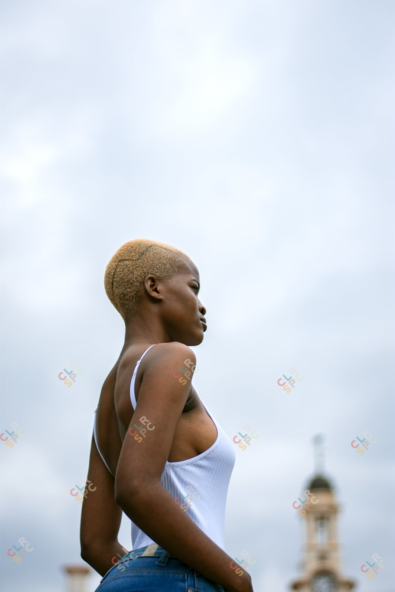 Looking into the Horizon