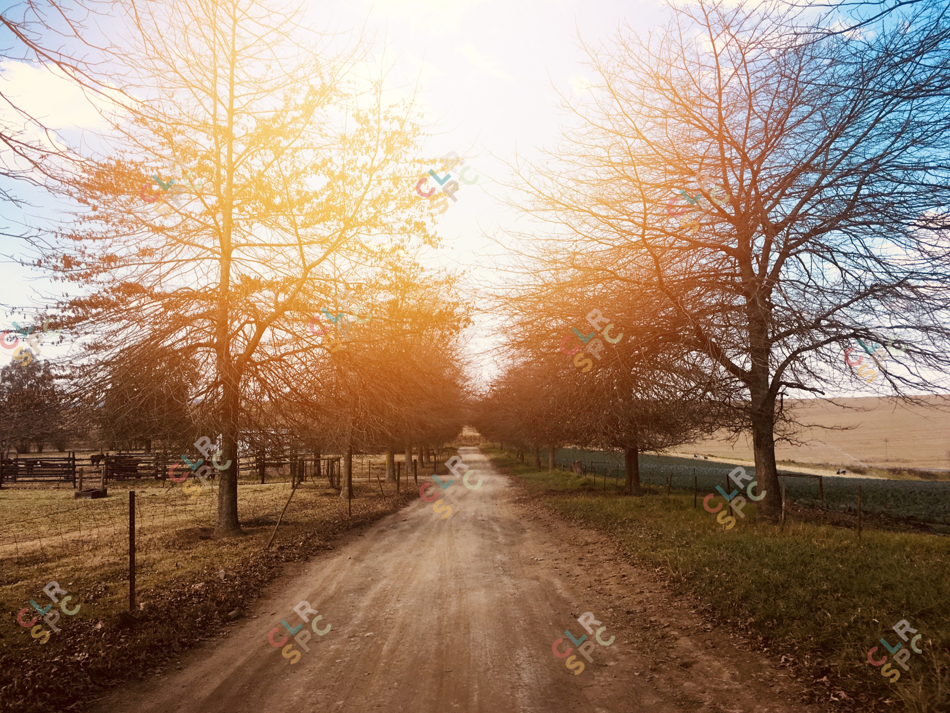 A good sunshine day during winter in the middle of a drive way