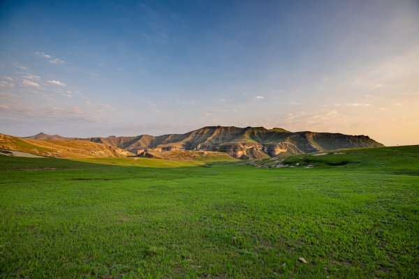 Rolling Hills of green