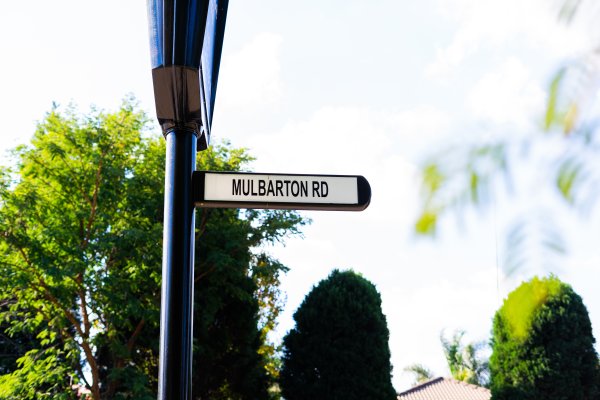 Street sign with green trees around it