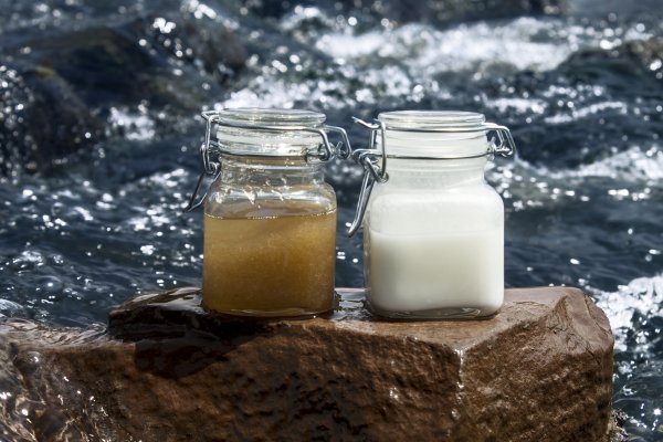 Two products on wet rock by the river