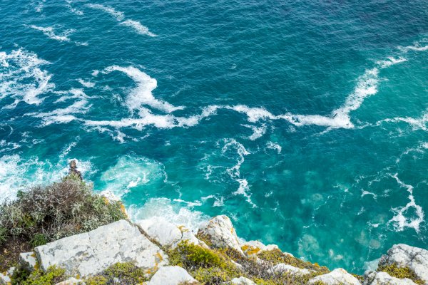 Views from Cape Point Light house